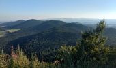 Tocht Stappen Orcines - Puy de Dôme depuis la gare - Photo 4