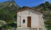 Percorso A piedi Bairols - Tour du mont Falourde - Photo 9