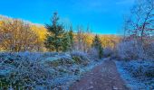 Tour Wandern Ham-sur-Heure-Nalinnes - Balade du Pré al Roch à Jamioulx - Photo 11