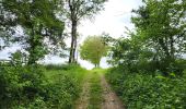 Tour Wandern Walcourt - Walcourt 230523 - Photo 4