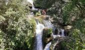 Trail Walking Carcès - chutes du Caramis - Photo 3