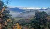 Trail Walking Venterol - URTIS . COL DE BUISSONET . SOM DE MONTSERIEUX . VENTEROL . O M S  - Photo 9