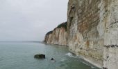 Tour Wandern Sainte-Marguerite-sur-Mer - ste marguerite sur mer varengeville - Photo 4