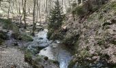 Trail Walking Aywaille - sougné-remouchamps . ninglinspo . selon . sougné - Photo 14