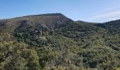 Randonnée Marche Castelnou - Camelas Chapelle St Martin_T - Photo 4