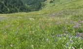Trail Walking Abriès-Ristolas - Alf Queyras j3 réel - Photo 15