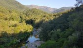 Trail Walking Sainte-Lucie-de-Tallano - Santa Luccia a Burgo - Photo 4
