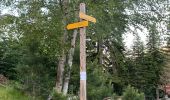 Tour Wandern Palneca - Col de Verde usciulu - Photo 16