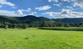 Excursión Bici de carretera Munster - La boucle des cigognes le 7 août 2023 - Photo 1