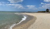 Randonnée Course à pied Fouesnant - Des dunes à la mer blanche - Photo 10