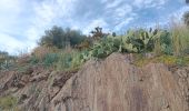 Trail Walking Argelès-sur-Mer - racou - collioure - racou / en boucle - Photo 12