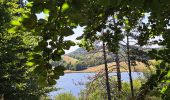 Trail Walking Aumessas - Lac de Pises au départ Le Travers - Photo 10