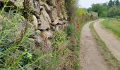 Trail Walking Crozes-Hermitage - Croyez Hermitag3 belvédère des Mesjeans - Photo 2