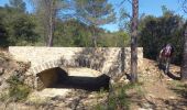 Randonnée Marche Peyrolles-en-Provence - Ancien canal du Verdon 1.5.22 - Photo 7