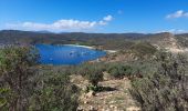 Trail Walking La Croix-Valmer - TOULON / CAVALAIRE SUR MER: CIRCUIT DE GIGARO - Photo 12