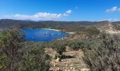 Excursión Senderismo La Croix-Valmer - TOULON / CAVALAIRE SUR MER: CIRCUIT DE GIGARO - Photo 12