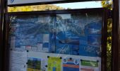 Trail Walking Bormes-les-Mimosas - les 3 cols Bormes les Mimosas  - Photo 12