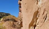 Tocht Stappen Unknown - 2024 Capitol Reef Hickman Bridge - Photo 1