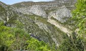 Randonnée Marche Castellane - Chasteuil - Cadières de Brandis - Photo 1