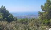 Tour Wandern Le Castellet - Traversée du Gros Cerveau - forteresses et grotte - Photo 8