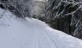 Trail Touring skiing Bussang - La bouloie - Photo 4