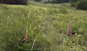 Tocht Stappen Bouillon - Vivy 110620 - Photo 2