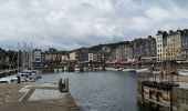 Tocht Stappen Équemauville - HONFLEUR 05 - De Honfleur à Pennedepie (Normandie) - Photo 12