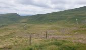 Tour Wandern Albepierre-Bredons - Le Plomb du Cantal - Photo 9