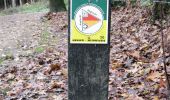 Trail On foot Hof van Twente - WNW Twente - Herikerberg -paarse route - Photo 1