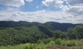 Tocht Stappen La Roche-en-Ardenne - rando warempage 13/07/2020 - Photo 2