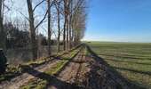 Trail Walking Les Bons Villers - Mellet - Saint-Amand - Photo 10