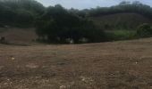 Tour Nordic Walking Sainte-Anne - Nu pied modette - Photo 3