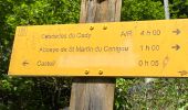 Trail Walking Vernet-les-Bains - Abbaye de St Martin du Canigou - Photo 2