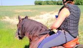 Trail Horseback riding Burthecourt-aux-Chênes - vermois1 - Photo 4