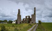 Trail On foot Roscommon Municipal District - Clogher - Photo 5