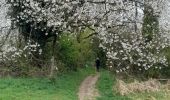 Trail Walking Hamoir - filot ac 4 - Photo 2