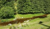 Tour Rennrad Langogne - NAUSSAC - COL DE LA PIERRE PLANTEE - Photo 10