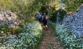 Trail Walking Marcilhac-sur-Célé - Marcilhac à Espagnac - Photo 3