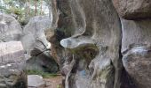 Tour Wandern Fontainebleau - franchard  - Photo 2