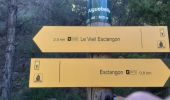Tour Wandern La Javie - LA JAVIE,  Esclangon , vieil Esclangon,  le Velodrome , passerelle du Bes, Facibelle , Tanaron o n l s  - Photo 19