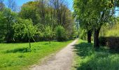Percorso Bici ibrida Ferrières-en-Brie - Etangs de Tafarrette - Forêt de Ferrieres  - Photo 3