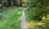 Trail Walking Plancher-les-Mines - 130722 - La planche des belles - au pieds du Ballons d’Alsaces - Photo 2