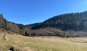 Tocht Stappen Girmont-Val-d'Ajol - Les étangs de Girmont et le prieuré d’Herival - Photo 6