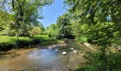 Tour Wandern Chimay - rando lompret 26-05-2023 - Photo 7