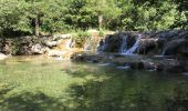 Excursión A pie Sales de Llierca - L'Alta Garrotxa de Vayreda - Photo 5