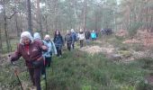 Trail Walking Fontainebleau - carrefour Acheté 3 février 2023 - Photo 11