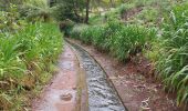 Tour Wandern São Jorge - Levada del Rei - Photo 6