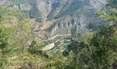 Excursión Senderismo Gorges du Tarn Causses - Camping les osiers fraissinet par les moines -moujiks - Photo 7