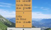 Randonnée Marche Glandage -  Le Joucou par Crête des Amousières Grimone12km - Photo 6