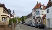 Tocht Te voet Schriesheim - Rundwanderweg Schriesheim 3: Schriesheimer-Hütten-Weg - Photo 1